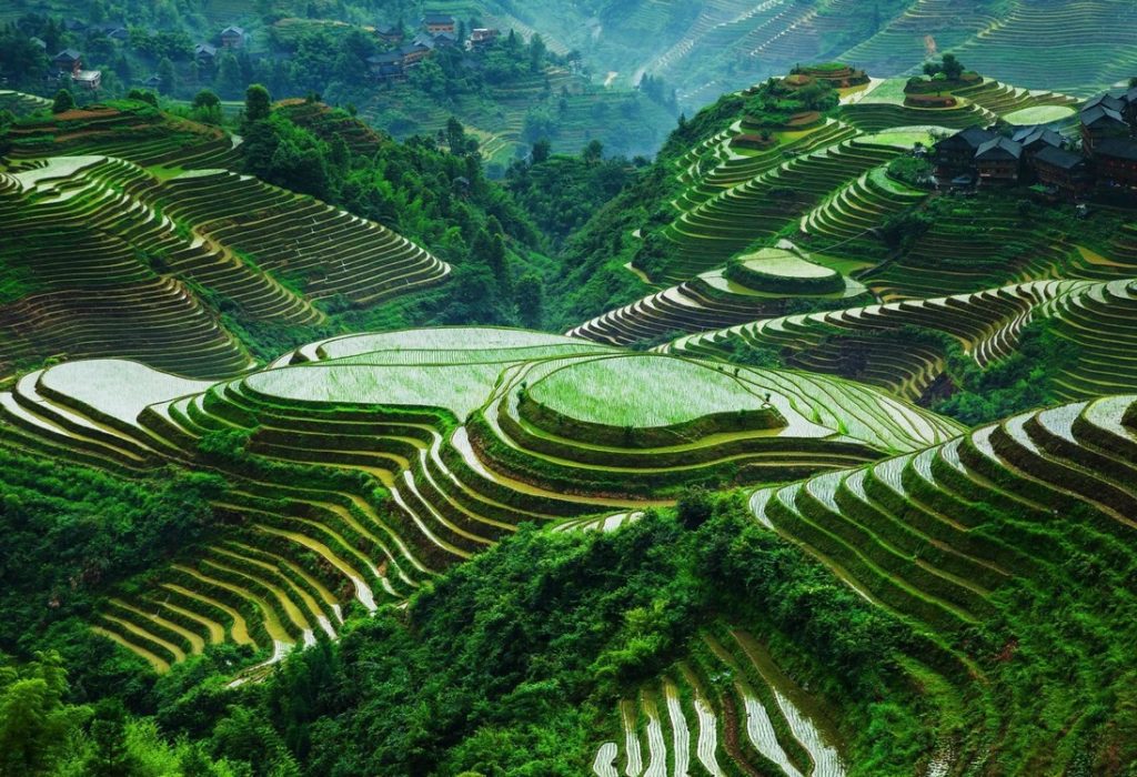 las-magicas-terrazas-de-arroz-en-lonji-china-rasca-mapas-784091_1200x1200